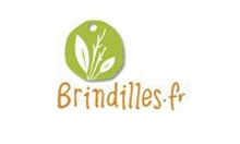 http://www.brindilles.fr
