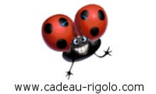 http://www.cadeau-rigolo.com