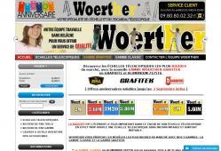 http://www.echelle-telescopique-woerther.com