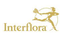 http://www.interflora.fr