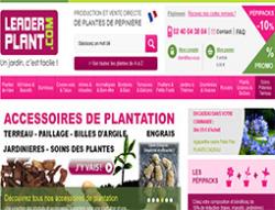 http://www.leaderplant.com