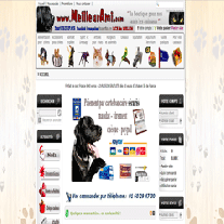 http://meilleurami.com