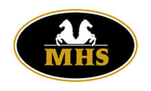 https://www.minihorseshop.fr