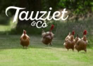 http://tauzietnco.fr