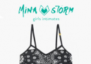 https://minastorm.com