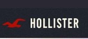 https://www.hollisterco.com