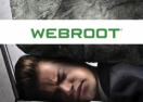 http://www.webroot.com