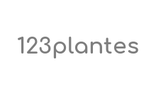 http://www.123plantes.com
