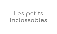 https://www.lespetitsinclassables.com