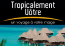 http://tropicalement-votre.com