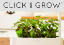 http://clickandgrow.com